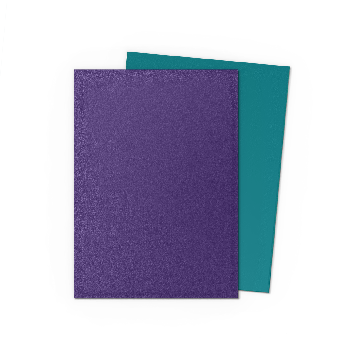DRAGON SHIELD - SLEEVES DUAL MATTE - SOUL AND PETROL (100CT)